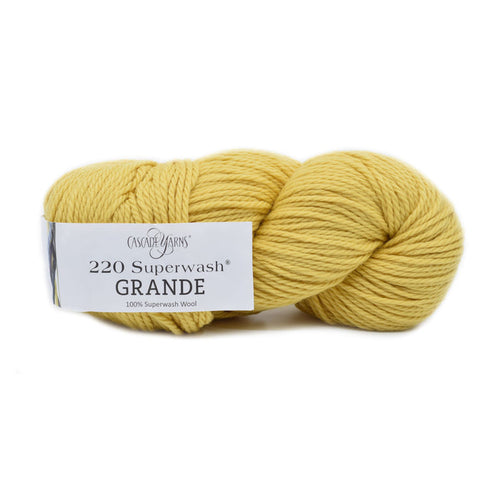 Cascade Yarns 220 Superwash Grande -205 - Purple Sage | Yarn at Michigan Fine Yarns