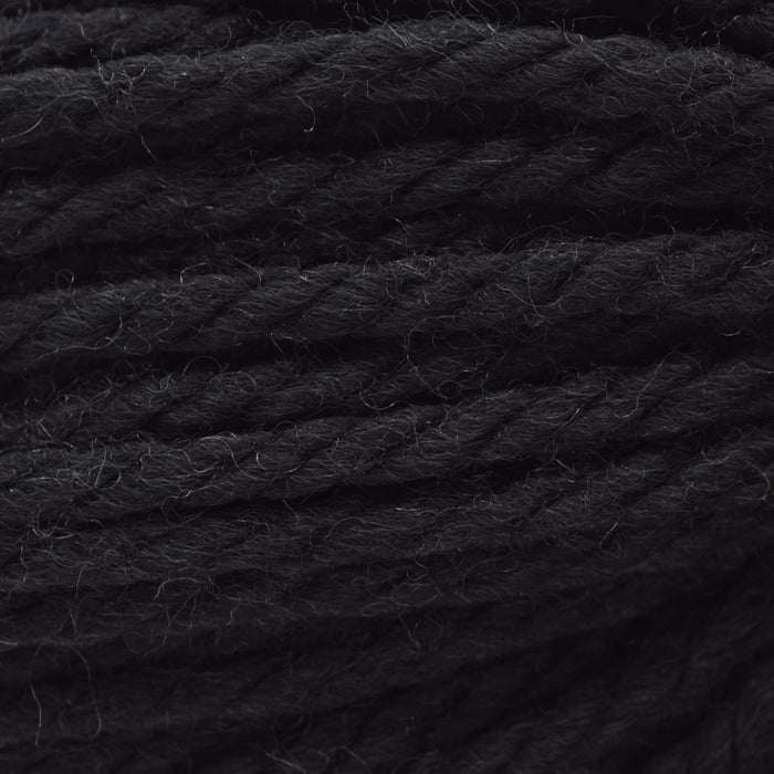 Cascade Yarns 220 Superwash Grande -815 - Black | Yarn at Michigan Fine Yarns