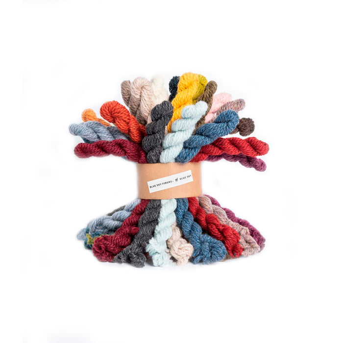 Blue Sky Fibers 27 Color Woolstok Mini Bundle | Yarn at Michigan Fine Yarns