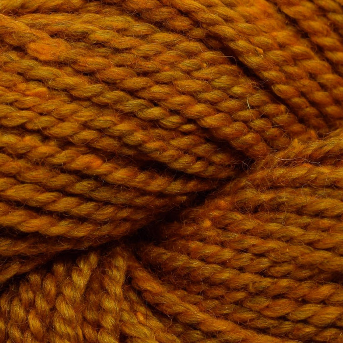 Sugar Maple