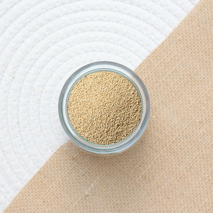 Levure sèche active bio (pour panification) - 1