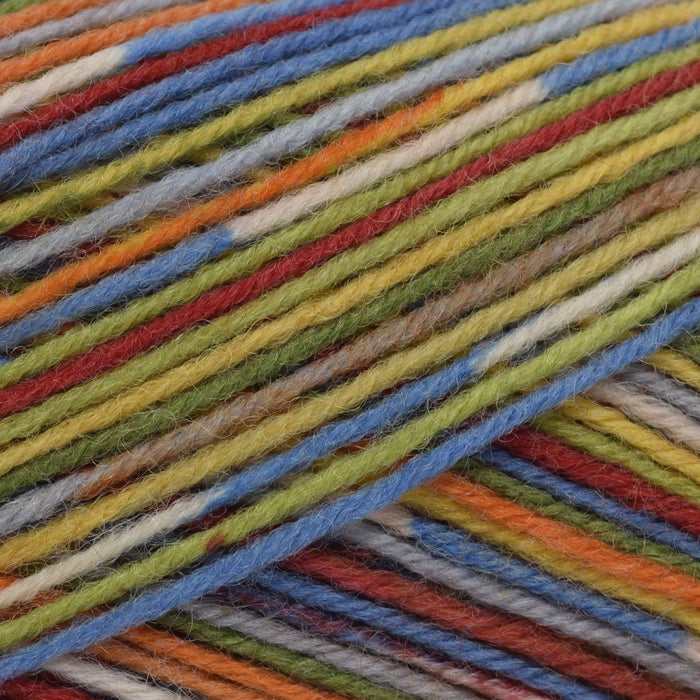 Adriafil Adriafil Calzasocks | Yarn at Michigan Fine Yarns