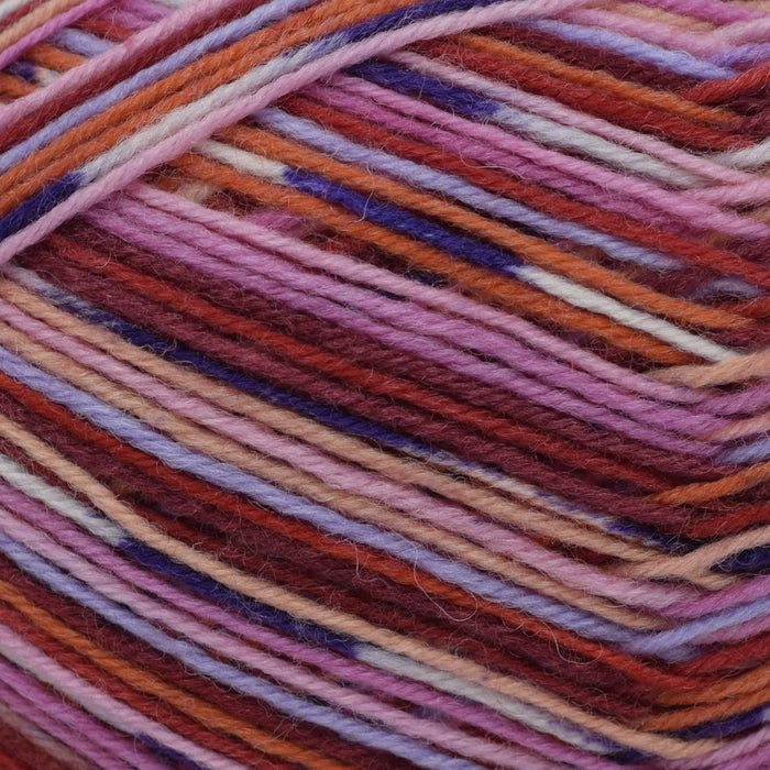 Adriafil Adriafil Calzasocks | Yarn at Michigan Fine Yarns