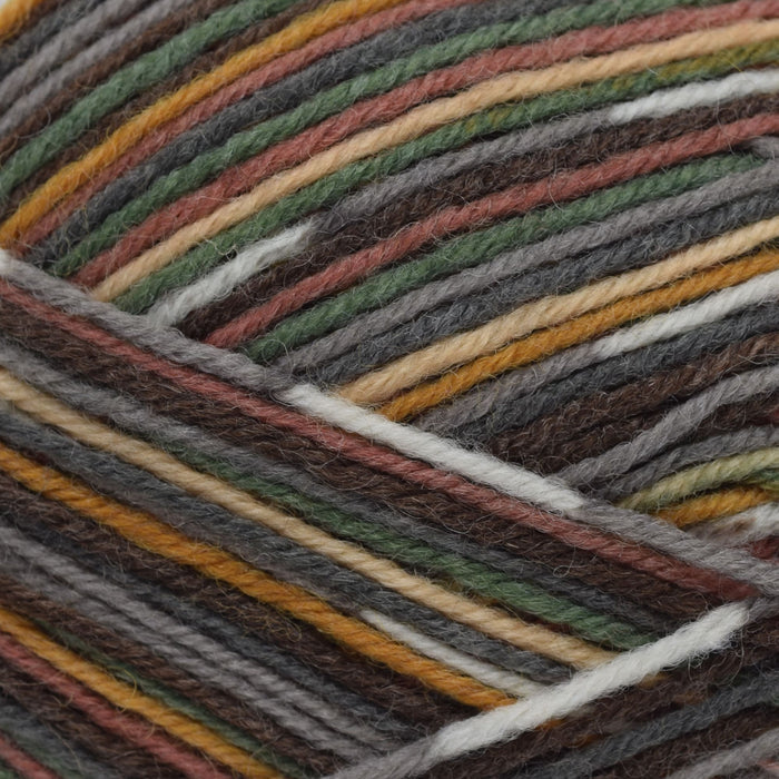 Adriafil Adriafil Calzasocks | Yarn at Michigan Fine Yarns