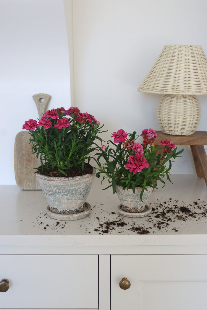 Aged Plant Pots | Set of 2