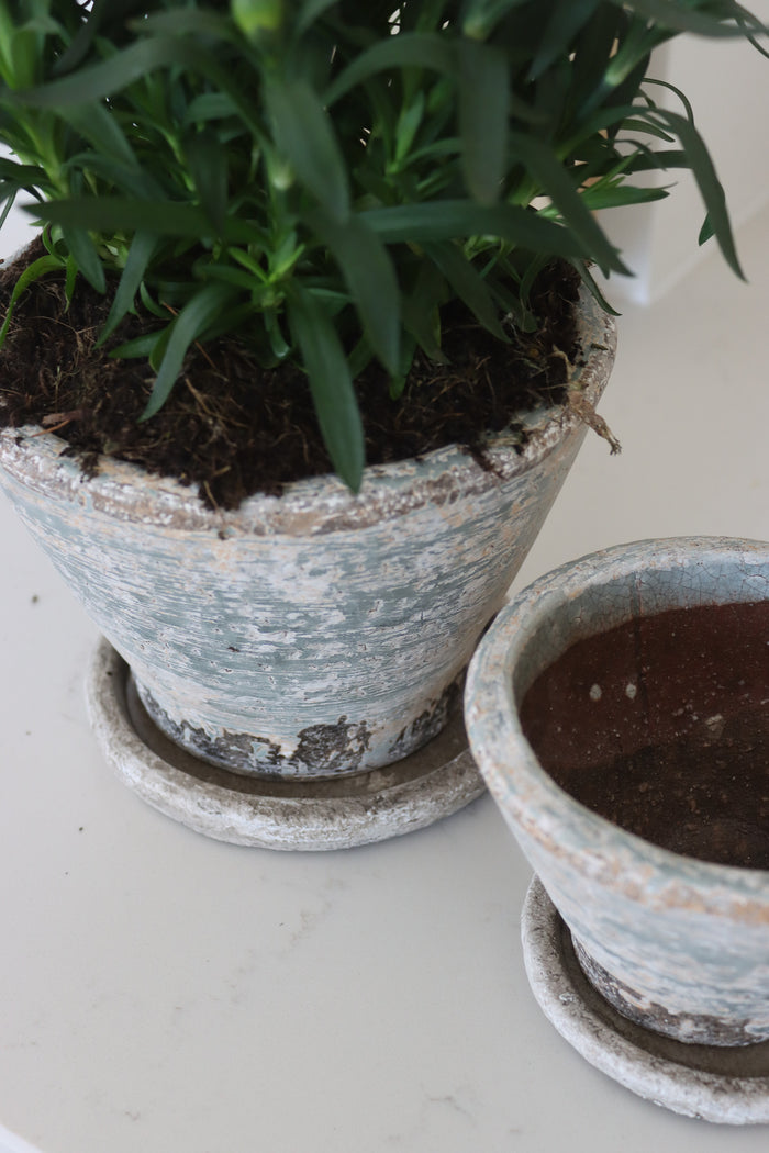 Aged Plant Pots | Set of 2