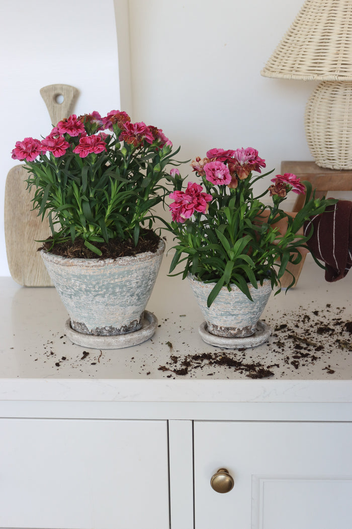 Aged Plant Pots | Set of 2