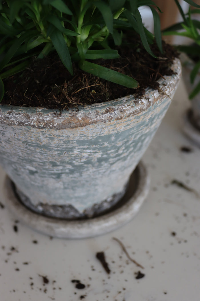 Aged Plant Pots | Set of 2