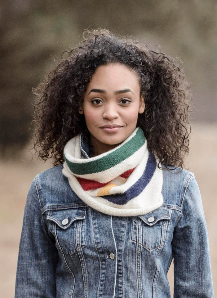 Blue Sky Fibers Albany Alpaca Cowl Kit | Kits at Michigan Fine Yarns