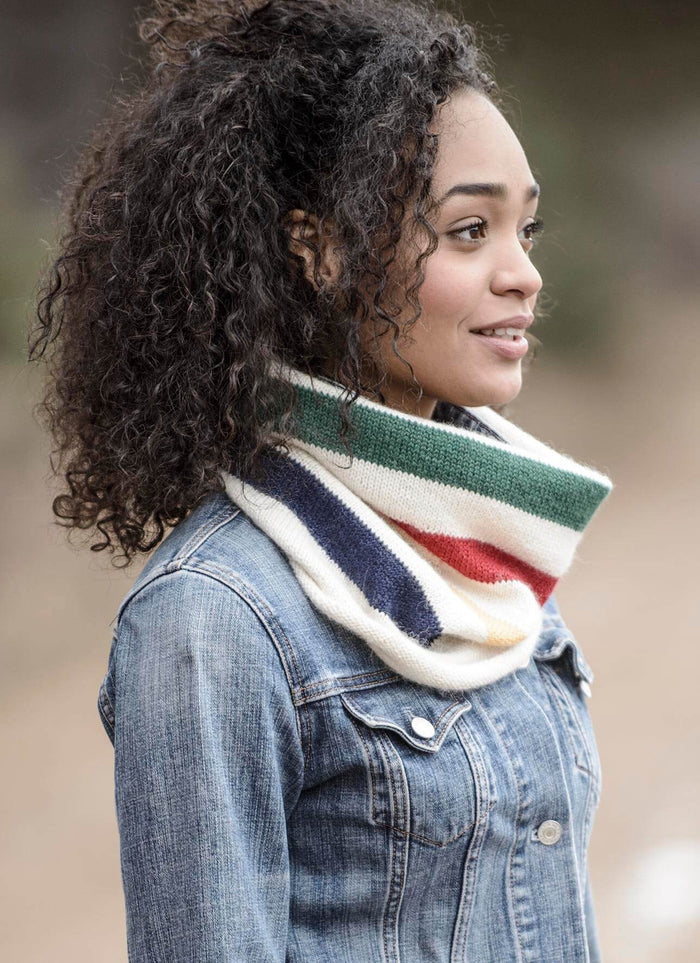 Blue Sky Fibers Albany Alpaca Cowl Kit | Kits at Michigan Fine Yarns
