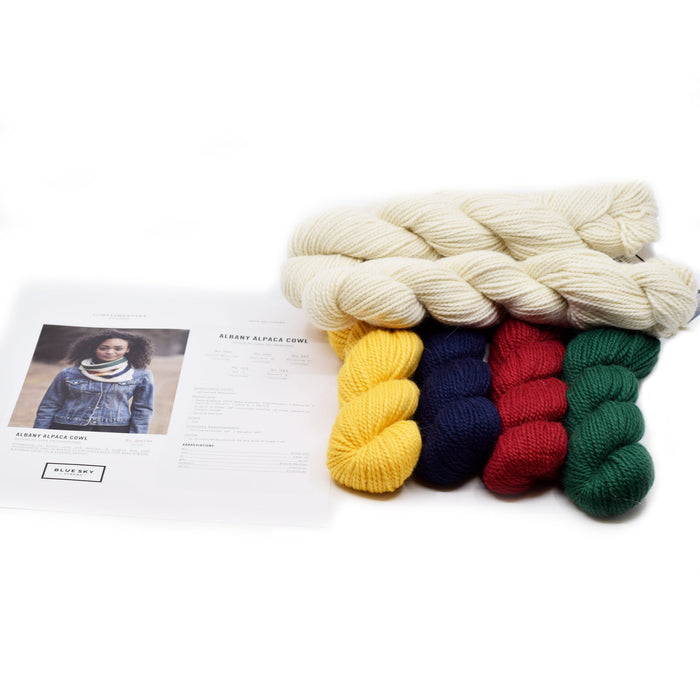 Blue Sky Fibers Albany Alpaca Cowl Kit | Kits at Michigan Fine Yarns