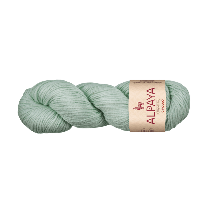 Circulo Yarns Alpaya - 2032 - Serene  | Yarn at Michigan Fine Yarns