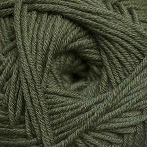 26 - Olive