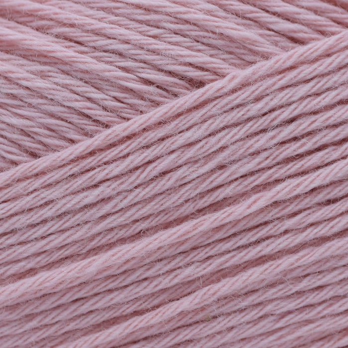 39 - Soft Rose