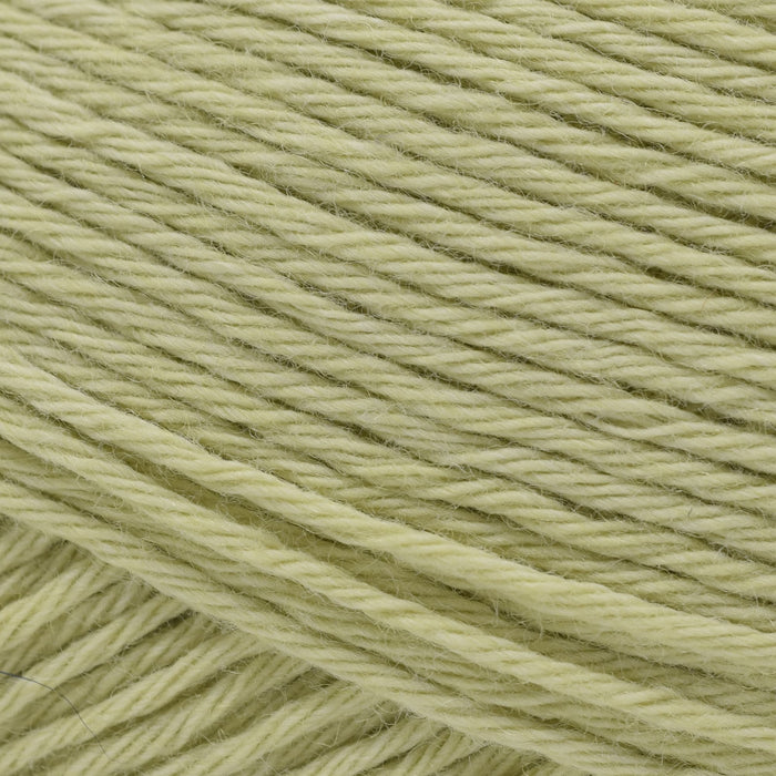46 - Celery Green