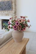 Anemone Bundle - Summer Sorbet