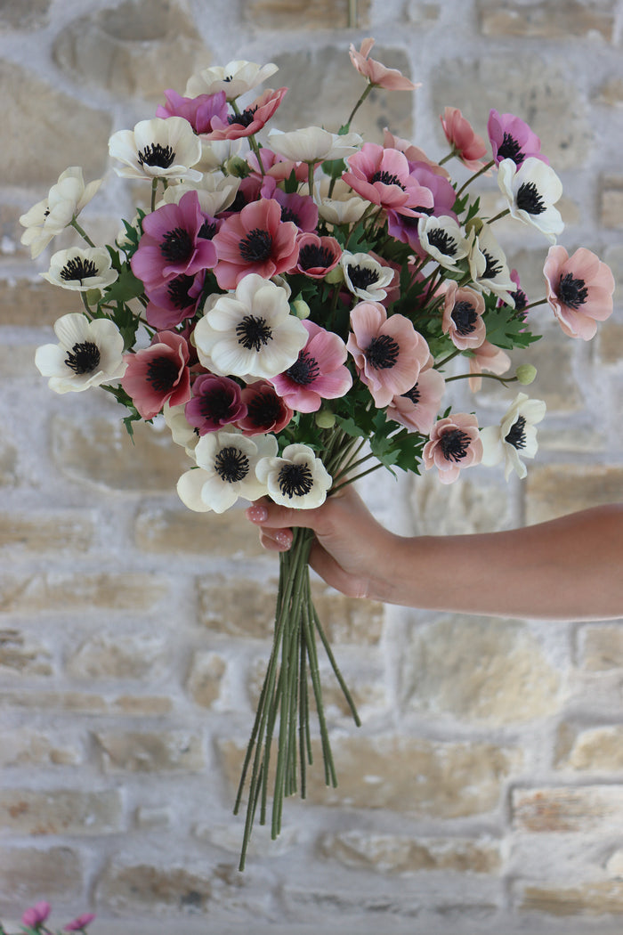 Anemone Bundle - Summer Sorbet