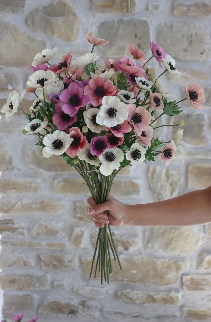 Anemone Bundle - Summer Sorbet