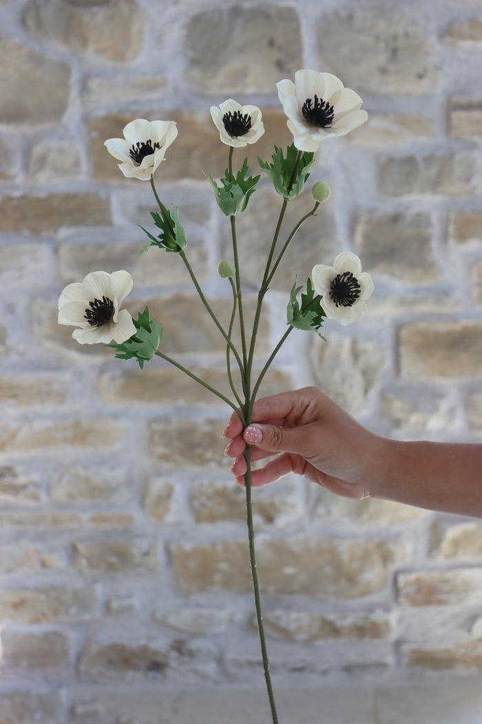 Anemone Bundle - Summer Sorbet