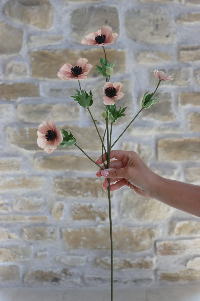 Anemone Bundle - Summer Sorbet