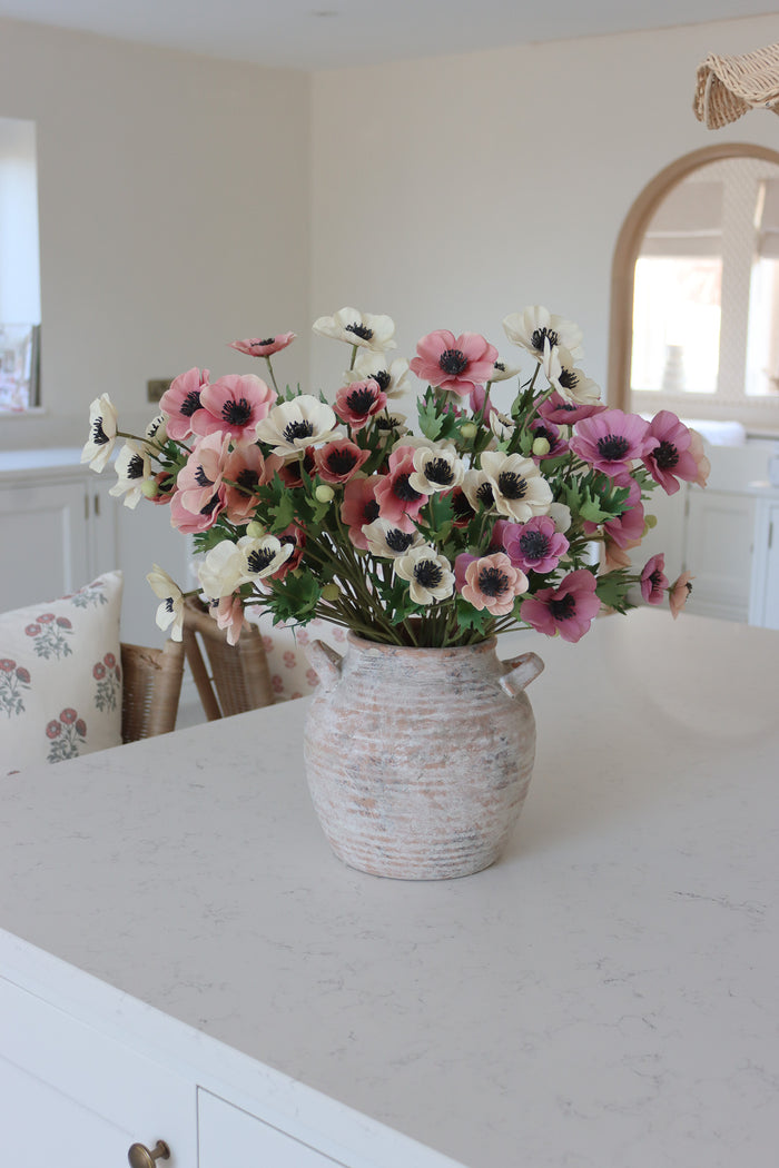 Anemone Bundle - Summer Sorbet