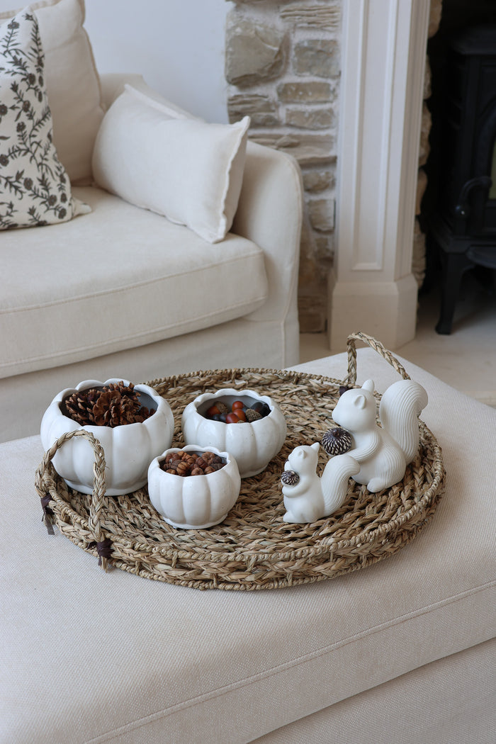 Autumn Squirrel Tray Bundle