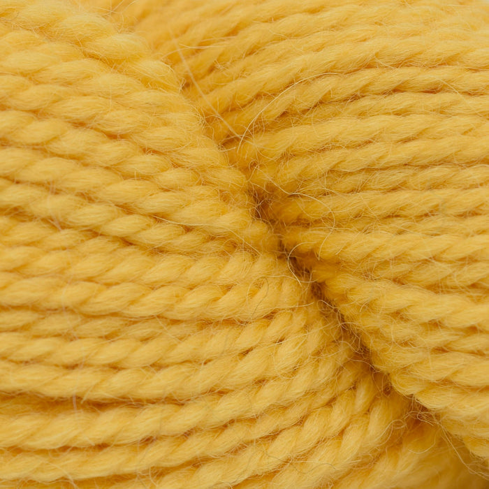 537 - Buttercup