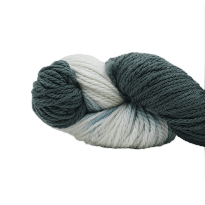 Bibi Yarn Bibi Aran - East Lansing Speckle  | Yarn at Michigan Fine Yarns