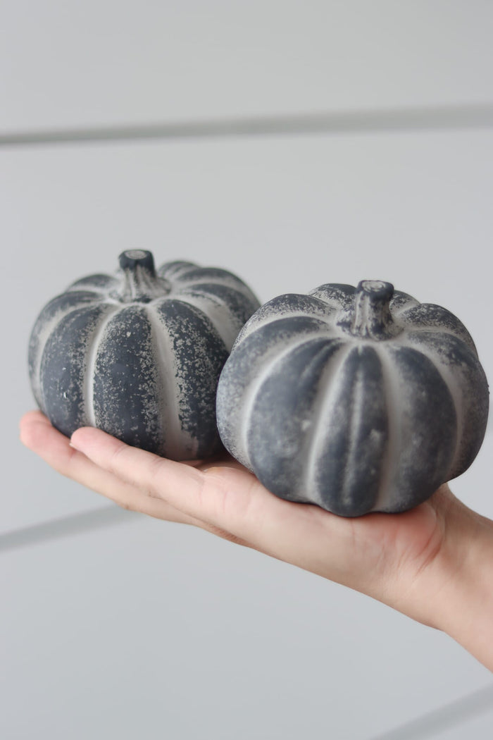 Black Stone Resin Pumpkin - Medium 2Pc Set