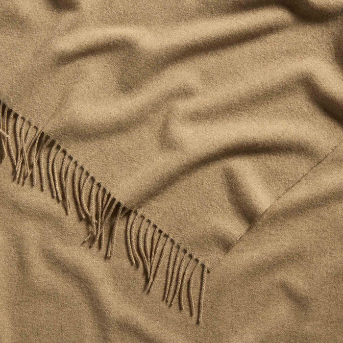 PDP2 Option[Camel] DETAIL