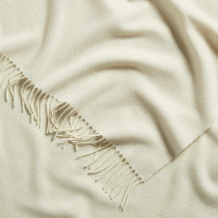 PDP2 Option[Ivory] DETAIL