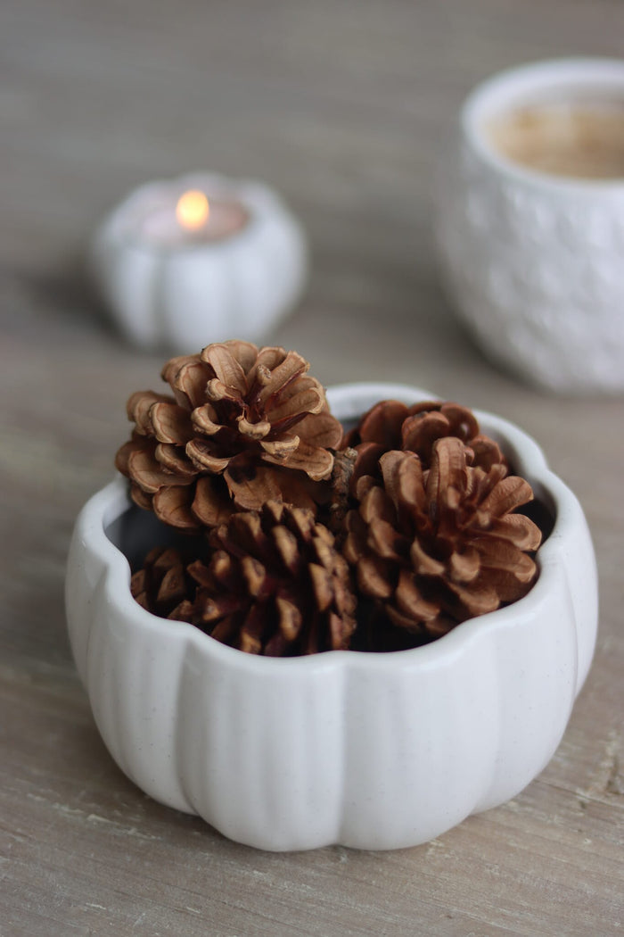 Ceramic Pumpkin Bowl - White