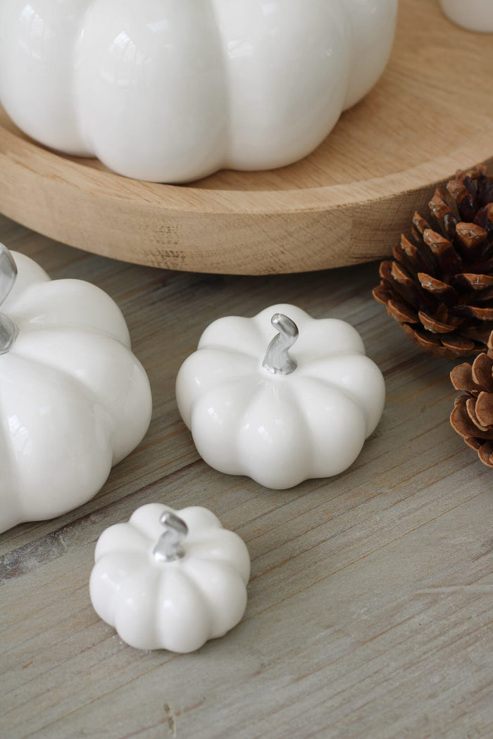 Ceramic Pumpkin White/Silver Stalk - Medium 2Pc Set