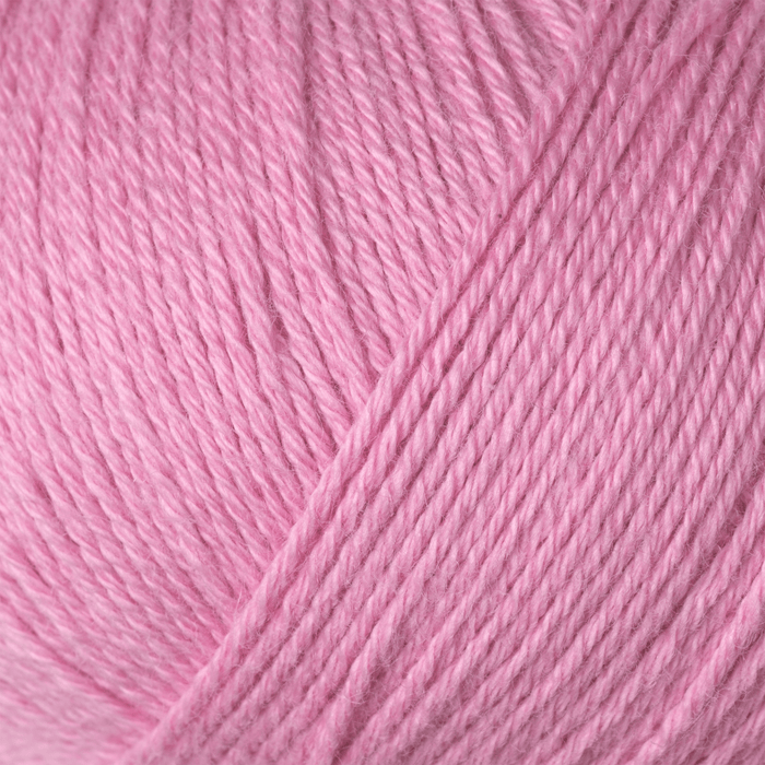 Japanese Anemone