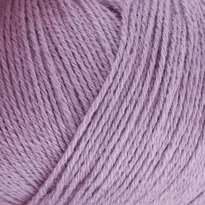 Artichoke Purple
