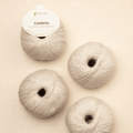 Pascuali Cumbria -301 - Nature  | Yarn at Michigan Fine Yarns