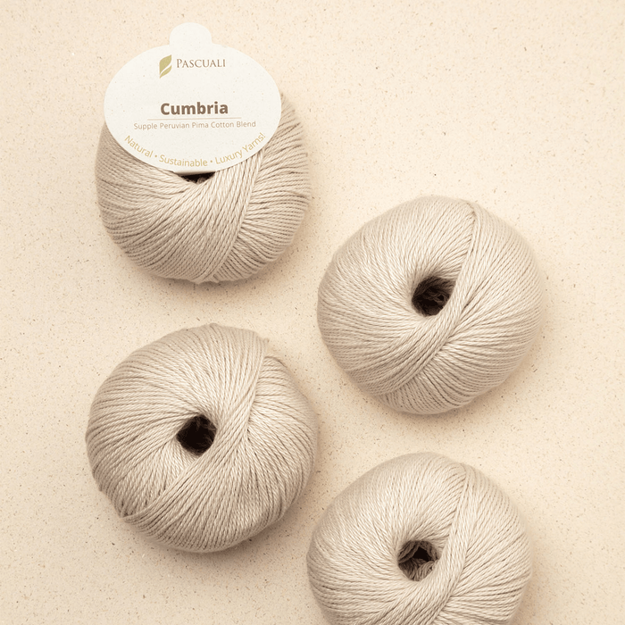 Pascuali Cumbria -301 - Nature  | Yarn at Michigan Fine Yarns