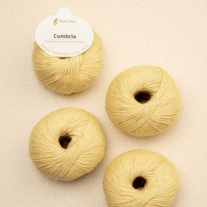 Pascuali Cumbria -303 - Buttercup  | Yarn at Michigan Fine Yarns