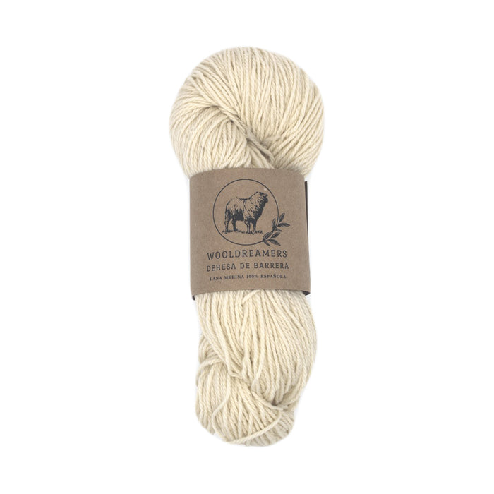 Wooldreamers Dehesa de Barrera DK | Yarn at Michigan Fine Yarns