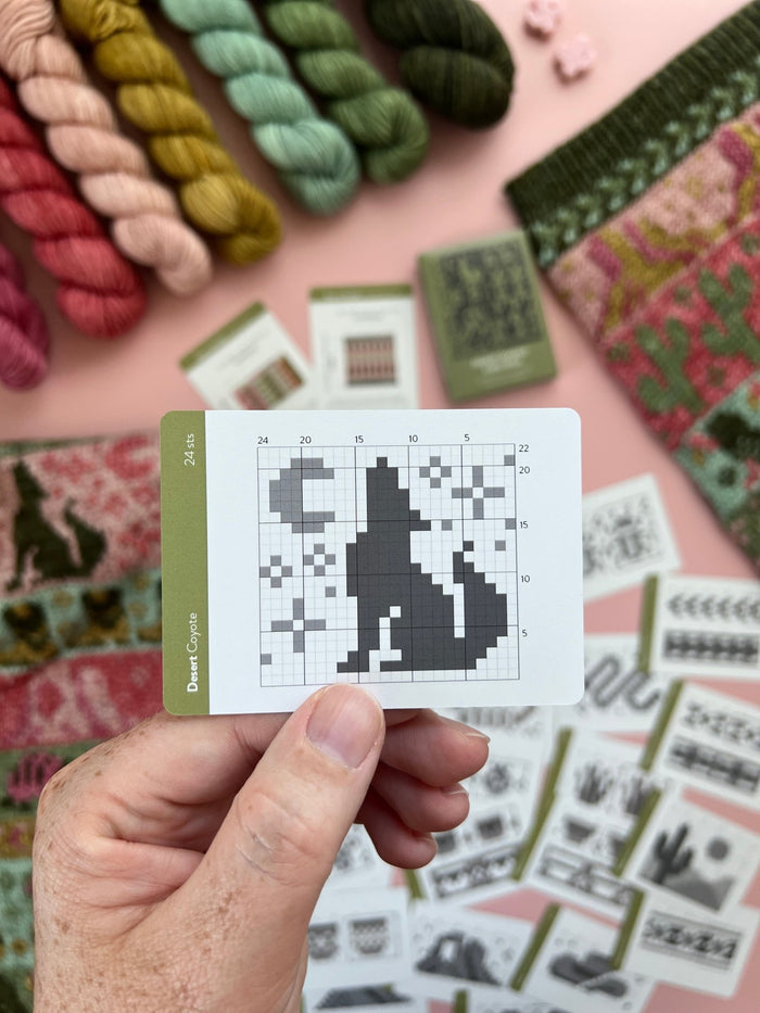 Pacific Knit Co. Desert Doodle Card Expansion Deck -  | Accessories at Michigan Fine Yarns