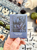Pacific Knit Co. Dino Doodle Card Expansion Deck -  | Accessories at Michigan Fine Yarns