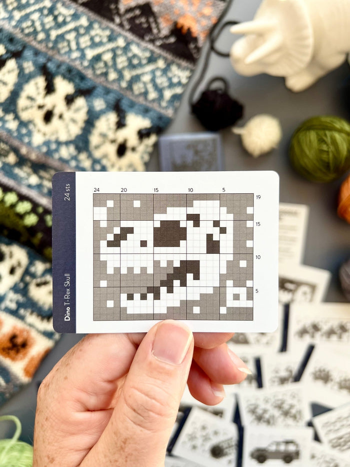 Pacific Knit Co. Dino Doodle Card Expansion Deck -  | Accessories at Michigan Fine Yarns
