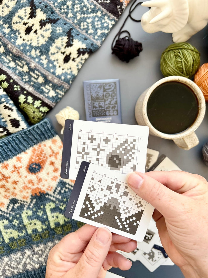 Pacific Knit Co. Dino Doodle Card Expansion Deck -  | Accessories at Michigan Fine Yarns