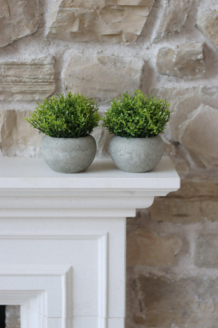 Faux Plant – Hebe 2pc Set