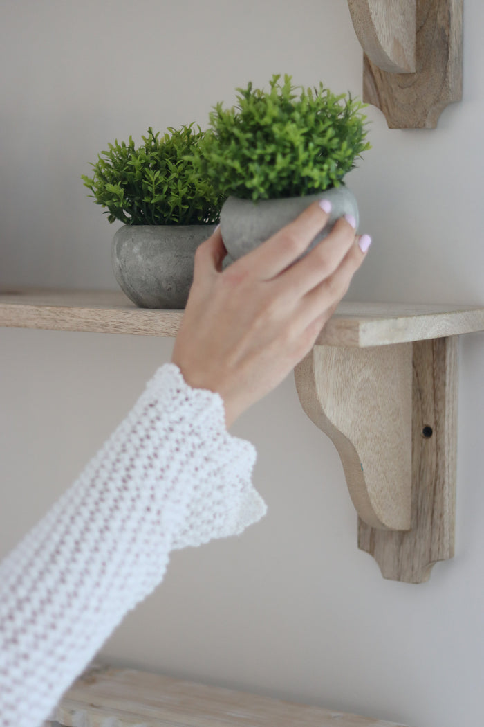 Faux Plant – Hebe 2pc Set
