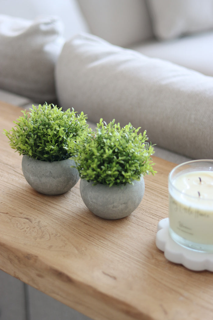 Faux Plant – Hebe 2pc Set