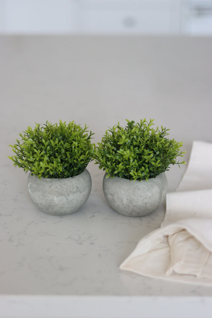 Faux Plant – Hebe 2pc Set