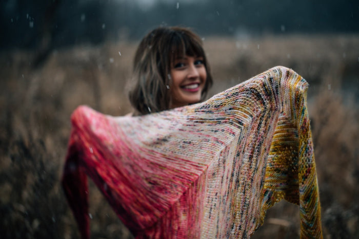 Koigu Find Your Fade Koigu Kit - | Kits at Michigan Fine Yarns