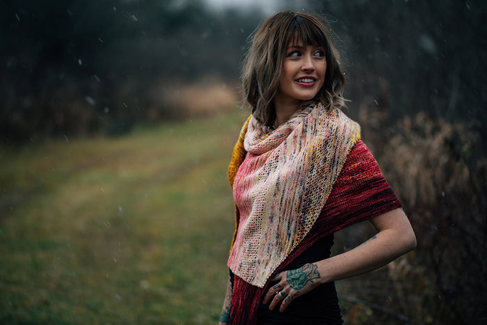 Koigu Find Your Fade Koigu Kit - | Kits at Michigan Fine Yarns