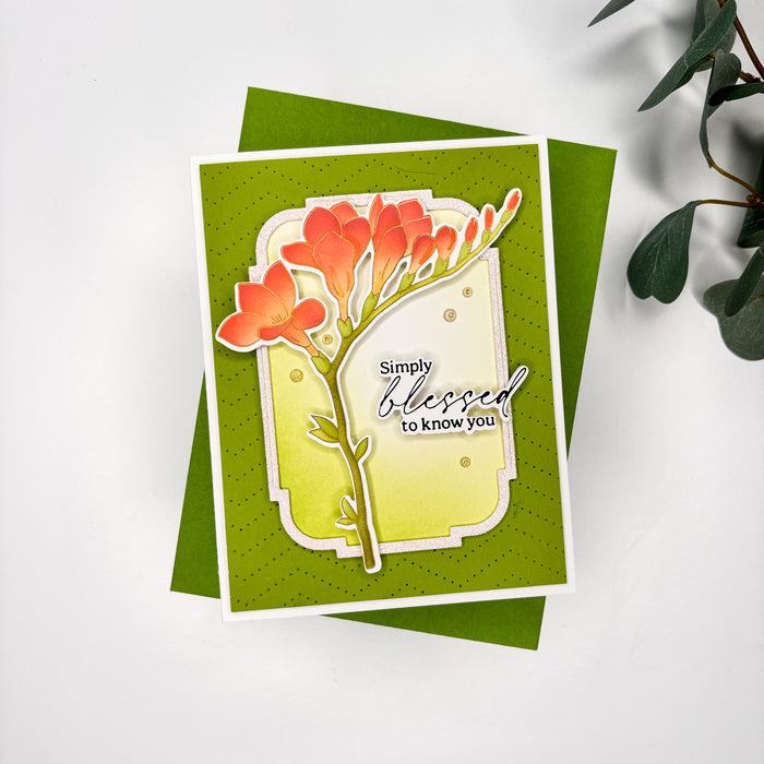 Freesia Flourish die